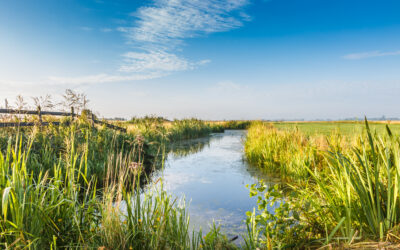 ESG i store prosjekter: The good, the bad & the ugly